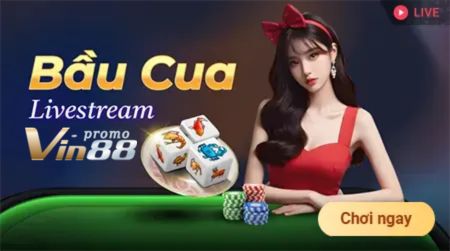 bầu cua livestream VIN88