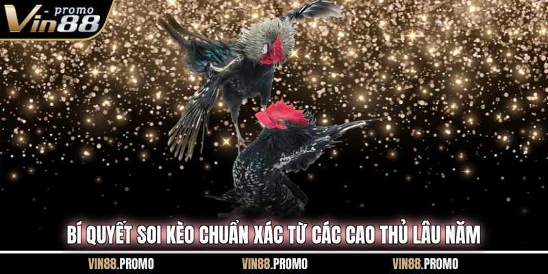 Bí quyết soi kèo chuẩn xác từ các cao thủ lâu năm