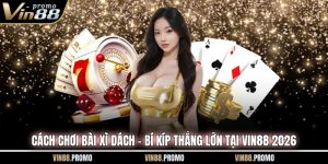 Cách Chơi Bài Xì Dách – Bí Kíp Thắng Lớn Tại VIN88 2026