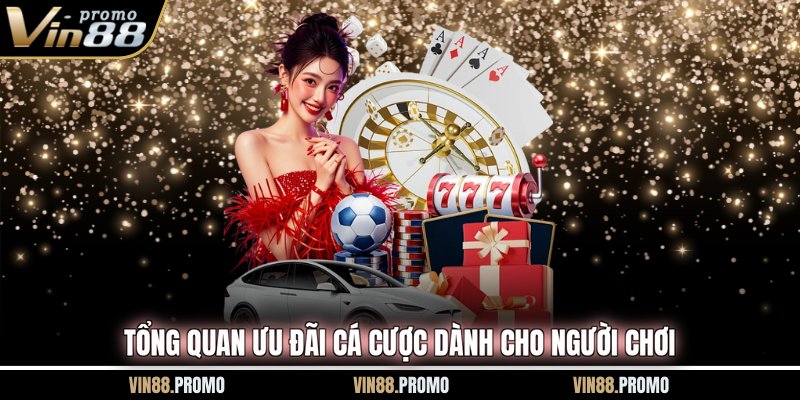 Tổng quan ưu đãi cá cược dành cho người chơi
