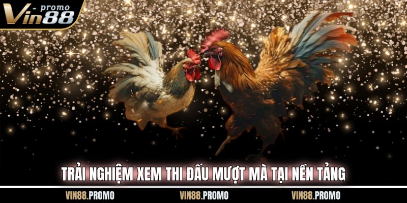 Trải nghiệm xem thi đấu mượt mà tại nền tảng
